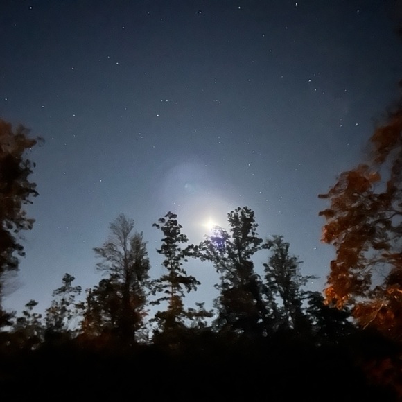 Meet your Posher...Holly - Picture 1 of 1